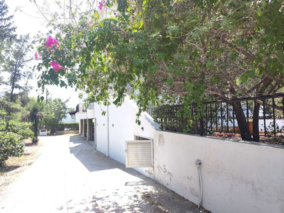 4 beds house nicosia rent12