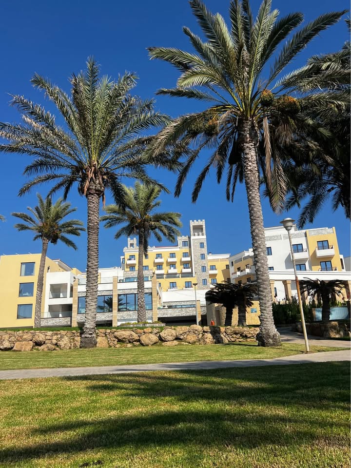 apartment_rent_chlorakas