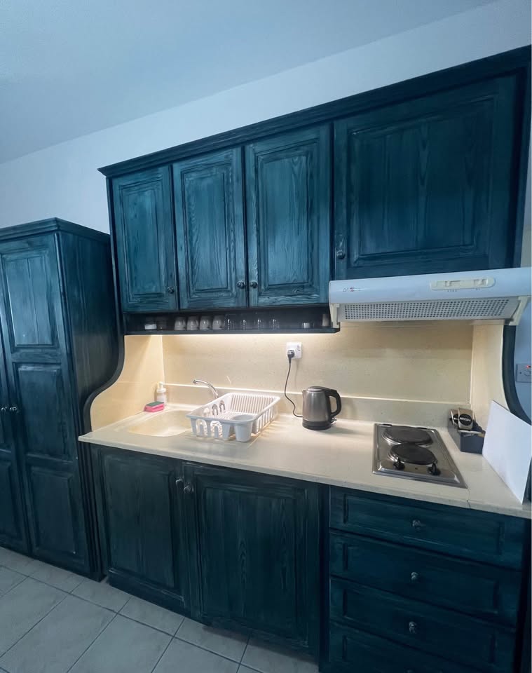 apartment_rent_chlorakas77